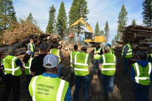 Logging day - team gets to see how our equipment services this important industry